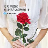 uploads/erp/collection/images/Home Garden/CongDing/XU0611782/img_b/XU0611782_img_b_4